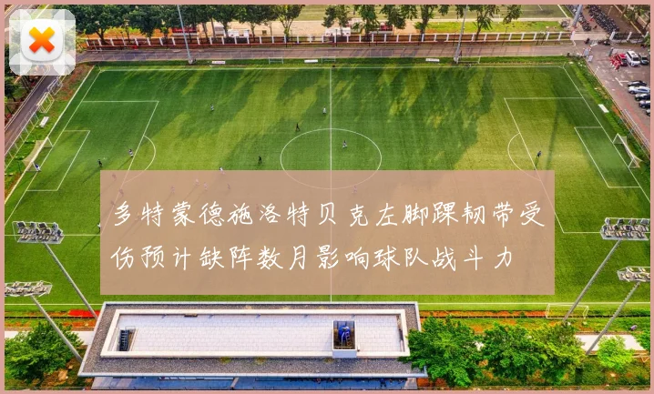 多特蒙德施洛特贝克左脚踝韧带受伤预计缺阵数月影响球队战斗力