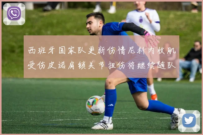 西班牙国家队更新伤情尼科内收肌受伤皮诺肩锁关节扭伤将继续随队训练