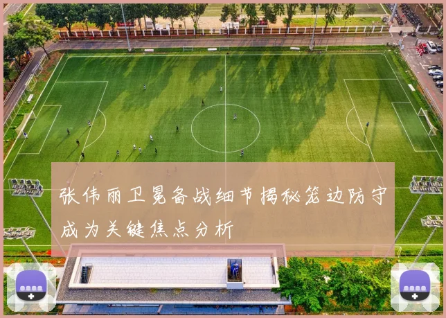 张伟丽卫冕备战细节揭秘笼边防守成为关键焦点分析