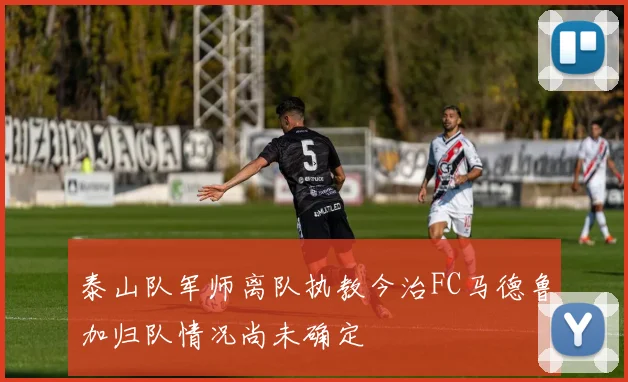 泰山队军师离队执教今治FC马德鲁加归队情况尚未确定